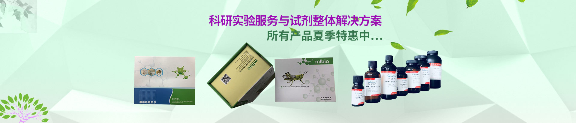 上海通蔚生物活動(dòng)